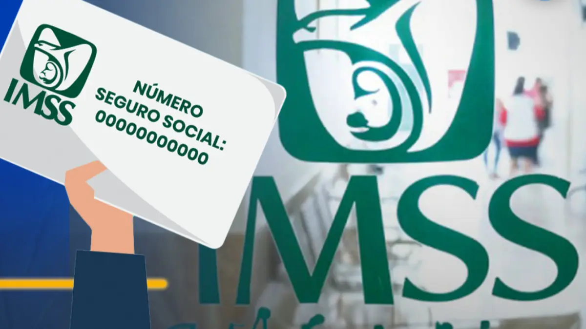 NSS: cómo obtenerlo en línea gratis 2026